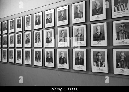 Polen, Oswiecim, Auschwitz ich KZ. Fotos der polnischen Opfer. Stockfoto