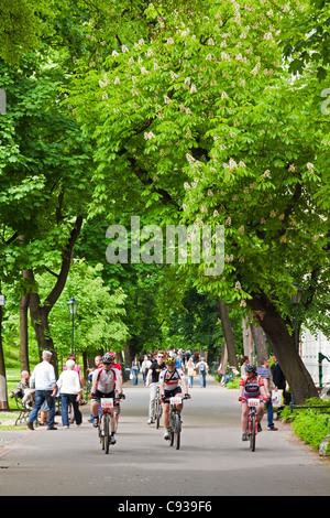 Polen, Krakau. Menschen genießen das saftige Grün Freiflächen des Planty Garten Rings. Stockfoto
