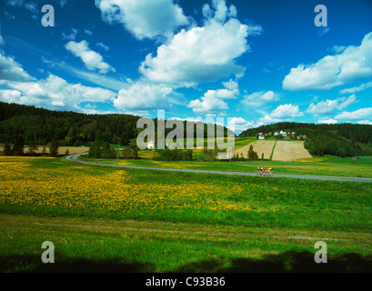 Gruppe, Radfahren entlang der Landstraße, über Hügel und vorbei an wilden Sommer Blumenwiesen in Schweden Stockfoto