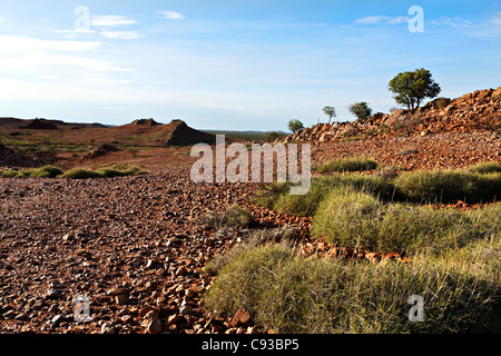 Australische Outback-Landschaft, Pilbara Westaustraliens Stockfoto