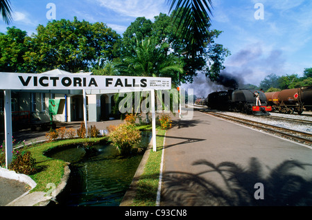 Victoria Falls ist eine Stadt in der Provinz Matabeleland in Zimbabwe am südlichen Ufer des Sambesi-Flusses Stockfoto