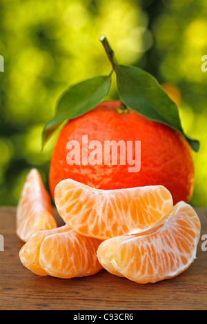 Mandarine Stockfoto