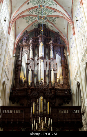 Organ der Sint Janskathedraal (St. Johannes Kathedrale in englischer Sprache) in's-Hertogenbosch, Niederlande. Stockfoto