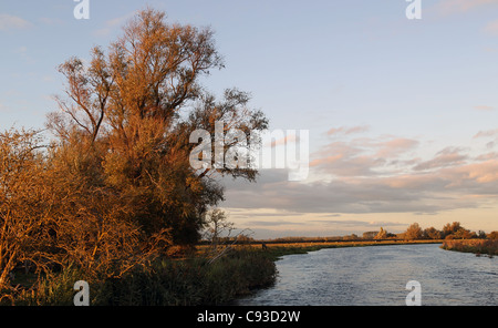 Blick auf The Fens vom Fluss Great Ouse. Stockfoto