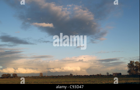 Blick auf The Fens vom Fluss Great Ouse. Stockfoto