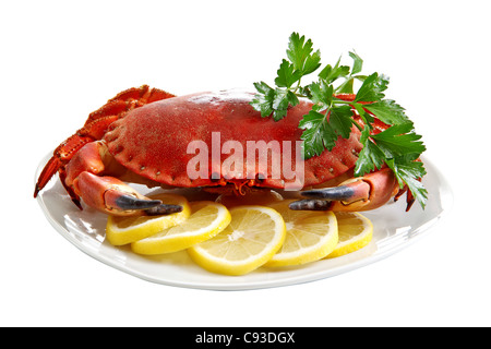 Krabben auf einem Teller Stockfoto
