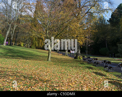 Dh Valley Gardens Harrogate, North Yorkshire Leute Wandern durch den Herbst Park uk Park Stockfoto