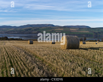 dh Ben Wyvis SCHWARZ ISLE ROSS CROMARTY Runde Stroh Heuballen havest Feld Herbst-Stoppeln großbritannien schottland Ballenernte niemand Ackerland in Ackerland schottland Stockfoto