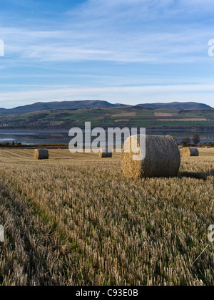 dh Ben Wyvis SCHWARZ ISLE ROSS CROMARTY Schottische runde Strohballen Erntefeld Herbsttag schottland Ackerland Ernte niemand Ackerland im britischen Ballen Stockfoto