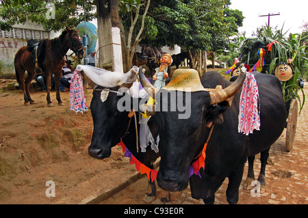 Traditionelle ländliche fest der São João in Correntes Pernambuco, Brasilien Stockfoto