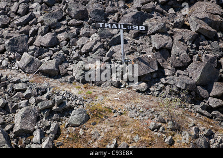 White Pass and Yukon Railroad auf der Strecke von Skagway, Alaska nach Fraser, British Columbia in Kanada verläuft entlang von 1898. Stockfoto