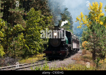 1880-Zug zwischen Keystone und Hill City, Black Hills, South Dakota. Stockfoto