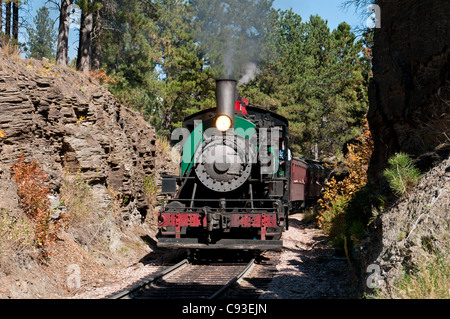 1880-Zug zwischen Keystone und Hill City, Black Hills, South Dakota. Stockfoto