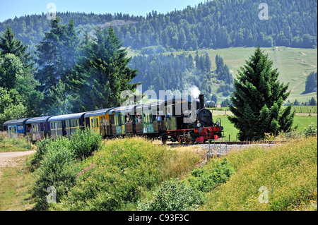 Historischen Zug: die Coni'Fer, Jura, Frankreich. Stockfoto