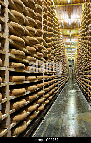 Comté Verfeinerung Keller in Fort Saint Antoine, Jura, Frankreich. Stockfoto