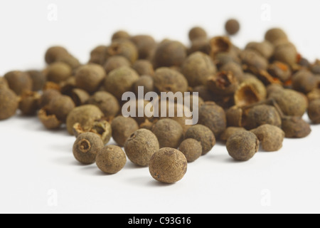 schwarzen Papper auf dem weißen Hintergrund Stockfoto