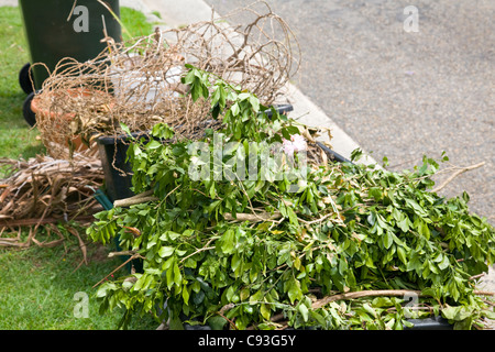 grüne Gartenabfälle erwartet Rat Sammlung für das recycling, Avalon, Sydney, Australien Stockfoto