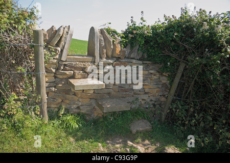 Ein traditioneller Stein öffentlichen Fußweg Zauntritt Pfadtext Südküste (South Dorset Ridgeway) in Dorset, England. Stockfoto