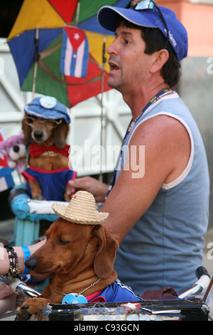 Ausbildung Hunde Geld in der Altstadt von Havanna, Kuba Touristen gefordert. Stockfoto