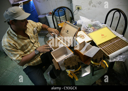 Illegalen Tabak-Händler mit gefälschten kubanischen Zigarren in seinem Haus in der Altstadt von Havanna, Kuba. Stockfoto