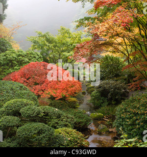 Creek am japanischen Garten einen nebligen Morgen im Herbst Stockfoto