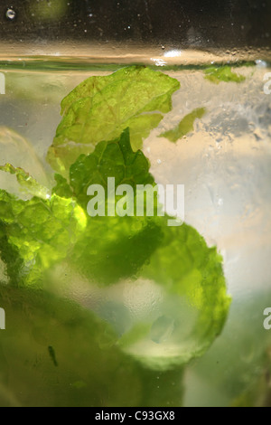 Mojito cocktail Textur. Stockfoto