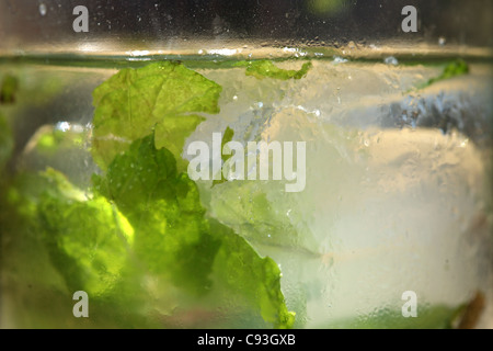 Mojito cocktail Textur. Stockfoto