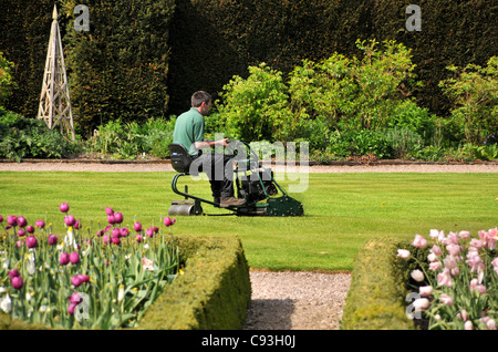 Ein Gärtner Rasenmähen auf ein Benzin-Traktor-Sichelmäher. Stockfoto