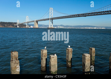 San Francisco Bay Bridge w Treasury Island Stockfoto