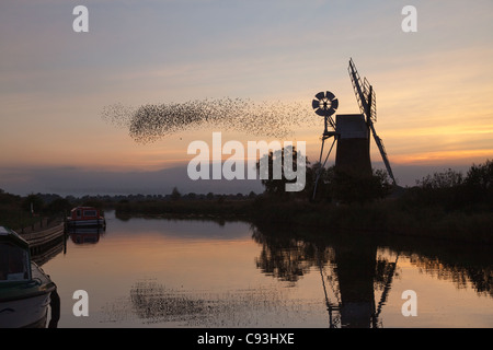 Turf Moor Windmühle, wie Hügel bei Sonnenuntergang. Stockfoto