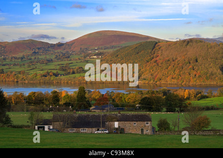 Reh-Haus mit Blick auf Ullswater in der Nähe von Pooley Bridge, Cumbria, UK Stockfoto