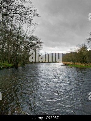 Der Fluß Rothay ausgeführt durch White Moss Wald im Lake District Stockfoto