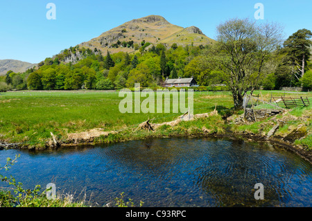 Easedale Tal und Spitze Felsen in der Nähe von Grasmere Dorf im Nationalpark Lake District, England Stockfoto