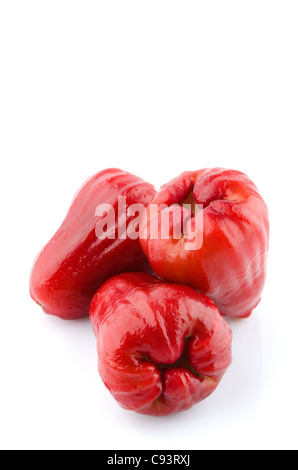 Thai Früchte der Rose Äpfel oder Chomphu auf weißem Hintergrund Stockfoto