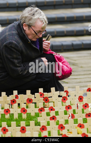 Frau liest die Nachrichten auf Holzkreuze mit Mohn für Gedenktag in Belfast City Hall, Belfast, UK am 11.11.2011 gelegt. Stockfoto