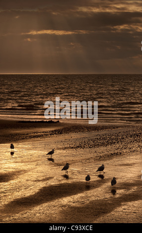 Die untergehende Sonne über dem Waschen Hunstanton Norfolk Stockfoto