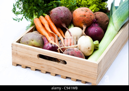 Schachtel mit gemischtem Gemüse: Rüben, Karotten, Schwede, Kartoffeln, rote Beete, rote Zwiebeln, Lauch und römischen Blumenkohl Stockfoto