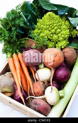 Schachtel mit gemischtem Gemüse: Rüben, Karotten, Schwede, Kartoffeln, rote Beete, rote Zwiebeln, Lauch und römischen Blumenkohl Stockfoto