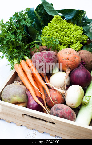 Gemischtes Gemüse: Rüben, Karotten, Schwede, Kartoffeln, rote Beete, rote Zwiebeln, Lauch und römischen Blumenkohl Stockfoto