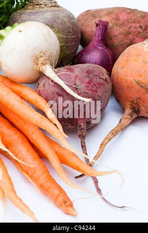 Gemischtes Gemüse: Kohlrabi, Karotten, Schwede, Kartoffeln, rote Beete und rote Zwiebel Stockfoto