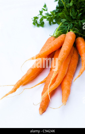 Karotte, Daucus Carota var. sativus Stockfoto