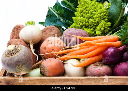 Schachtel mit gemischtem Gemüse: Rüben, Karotten, Schwede, Kartoffeln, rote Beete, rote Zwiebeln, Lauch und römischen Blumenkohl Stockfoto