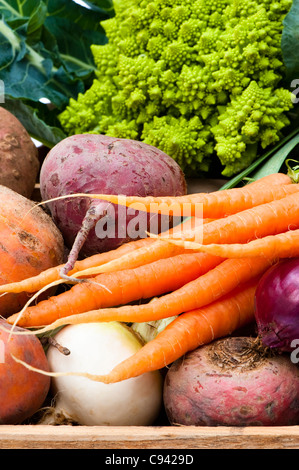 Schachtel mit gemischtem Gemüse: Kohlrabi, Karotten, Kartoffeln, rote Beete, rote Zwiebeln und römischen Blumenkohl Stockfoto