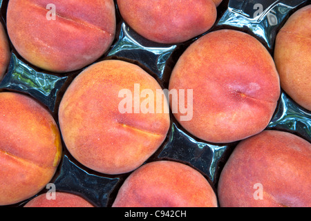 Pfirsiche "Sweet Sue" Verpackung Tablett, Bauernmarkt. Stockfoto