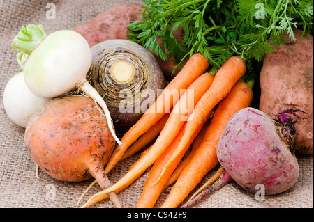 Gemischtes Gemüse: Karotten, Schwede, rote Beete, Rüben und Kartoffeln Stockfoto