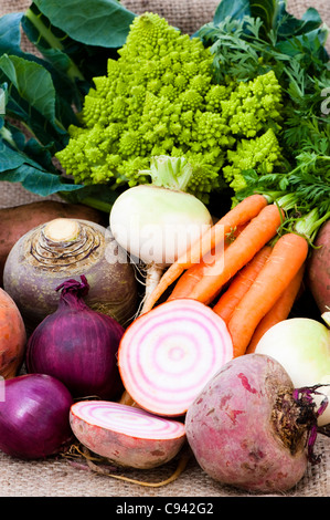 Gemischtes Gemüse: Rüben, Karotten, Schwede, rote Beete, rote Zwiebeln, Kartoffeln und römischen Blumenkohl Stockfoto