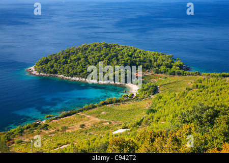 Kroatien-Landschaft auf der Halbinsel Peljesac Stockfoto