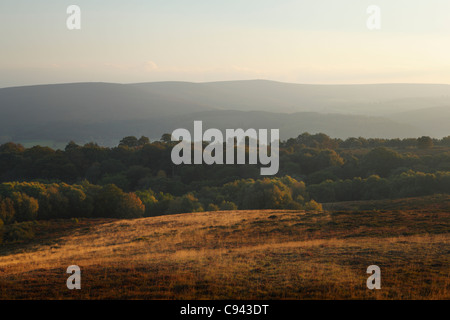 Blick Richtung Dunkery Leuchtfeuer von Selworthy Beacon. Exmoor National Park. Somerset. England. VEREINIGTES KÖNIGREICH. Stockfoto