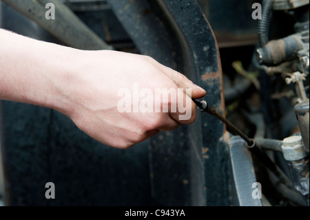 Überprüfen den Ölstand in einem Traktor-Motor, mit Messstab. Stockfoto