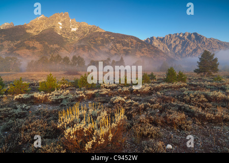 Grand Teton ist der höchste Gipfel der Teton Range an mehr als 13.700 ft in der Höhe. Stockfoto